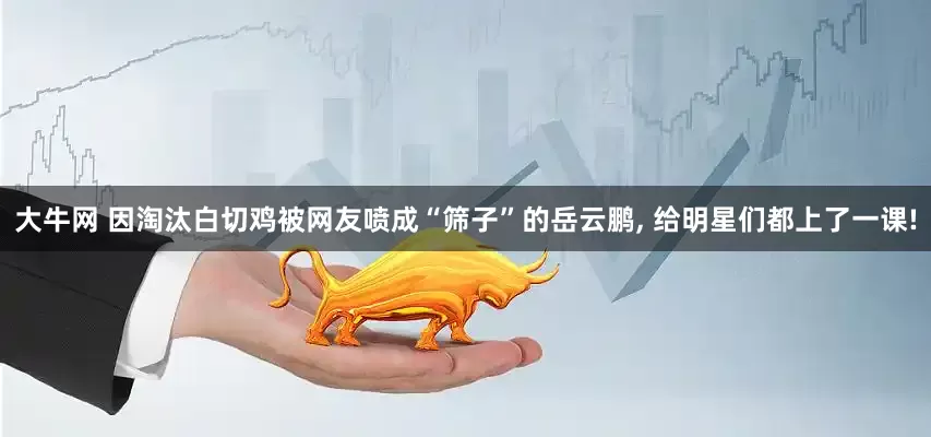 大牛网 因淘汰白切鸡被网友喷成“筛子”的岳云鹏, 给明星们都上了一课!