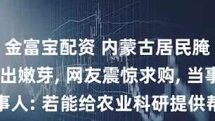 金富宝配资 内蒙古居民腌制酸菜长出嫩芽, 网友震惊求购, 当事人: 若能给农业科研提供帮助, 不收费